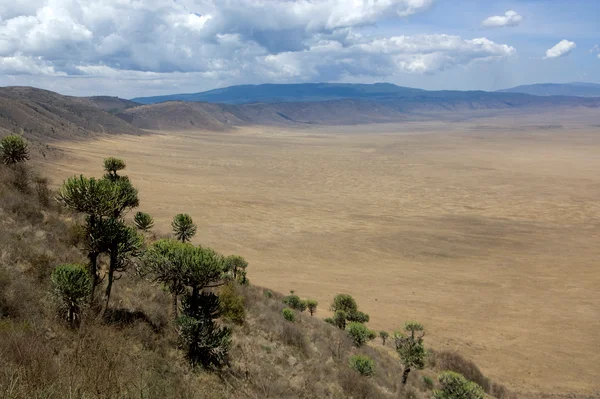 Ngorongoro Crater