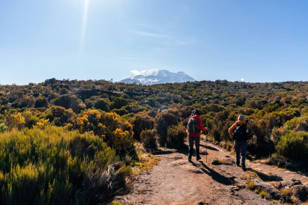 Kilimanjaro