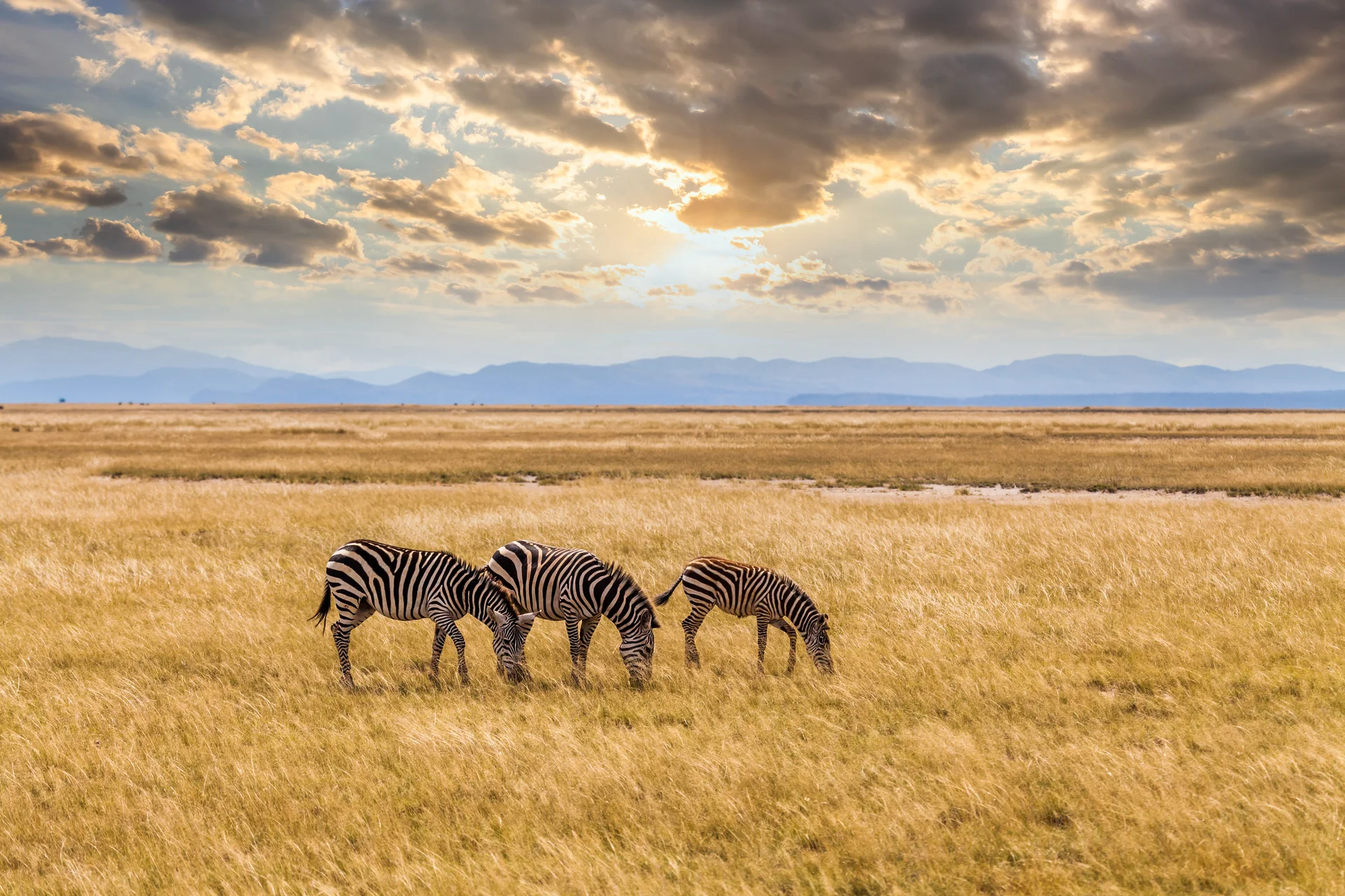 Tanzania