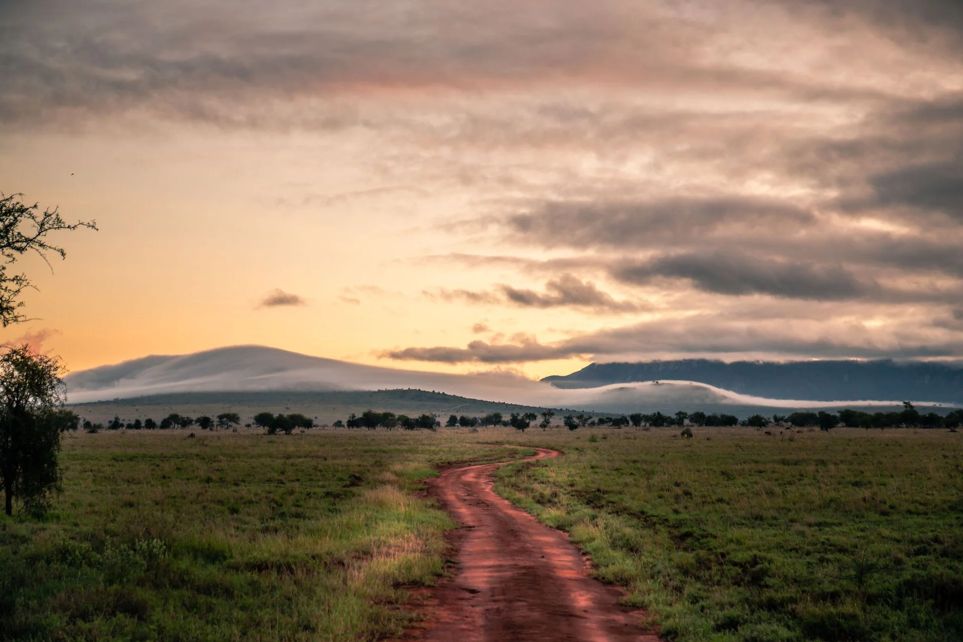 Tanzania